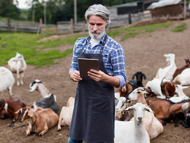Как уменьшение потребление мяса влияет на окружающую среду