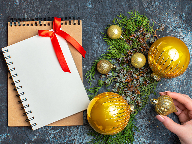 Как весело провести новогодние каникулы? Статья на сайте ракета займ