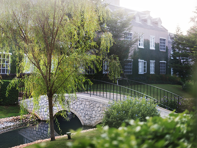 Методы городского озеленения и его плюсы