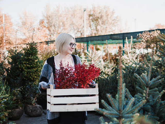 Плюсы городского озеленения для экосистемы 