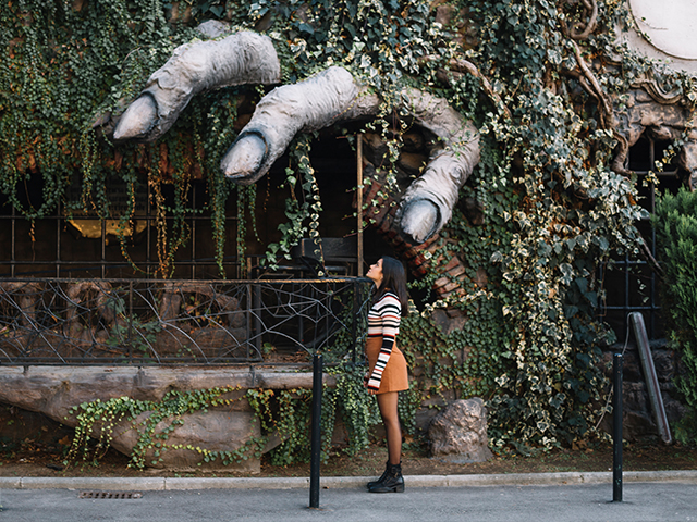 Пути улучшения городского озеленения