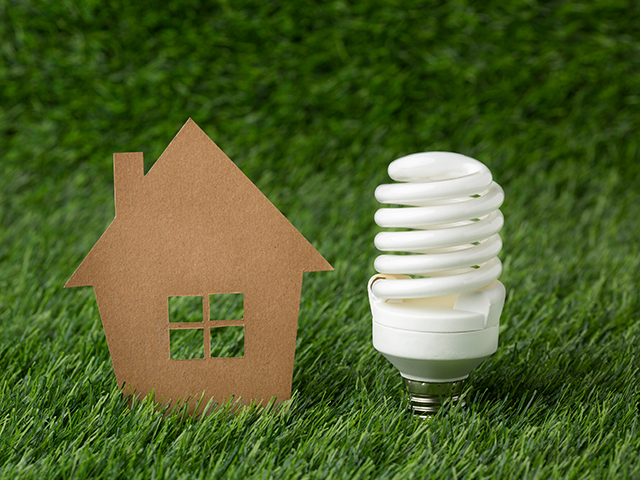 Энергоэффективность дома: энергосберегающие лампы, изоляция дверей и окон