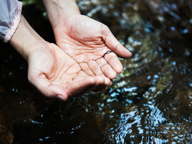 Проблемы водных ресурсов