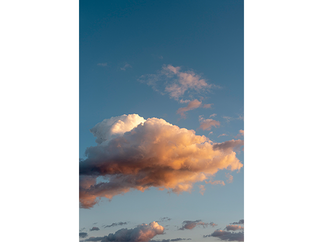 Одним из важнейших факторов успешной фотографии является освещение.