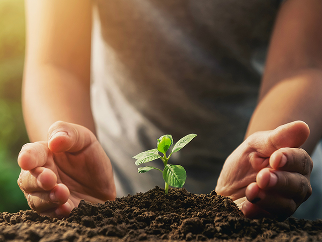 Активное участие в экологических акциях, таких как уборка территорий, высадка деревьев или участие в образовательных проектах, – это способ напрямую повлиять на ситуацию. 