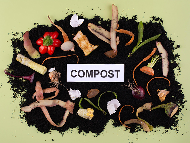 Компостирование, реальные способы минимизации отходов
