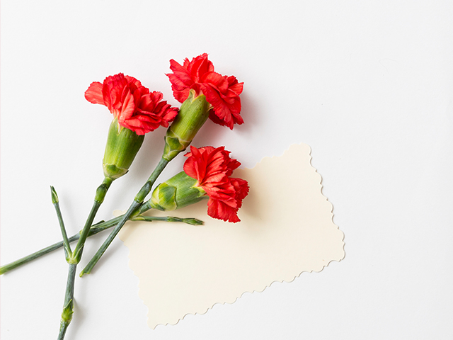 Культурное и социальное значение "Бессмертного полка"